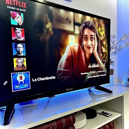 La Chambrette : Studio-rer A-wifi-netflix-jardin * נאנטר